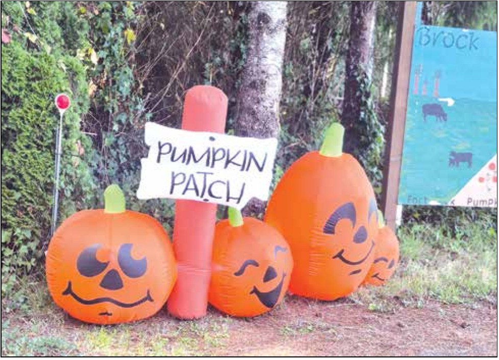Brock Farming's Pumpkin Patch is open daily from 10 a.m. to 6 p.m., off Moorehead Road in Fort Dick.