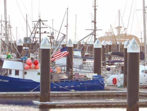 The public-accountability question is whether the Harbor District adequately prepared its facilities so that engineers could obtain the greatest value from an assessment carrying a total project fee of $112,612. Photo courtesy of Nick Maietta