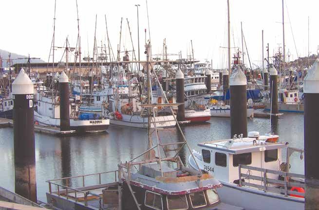 A $112,612 structural assessment of the Crescent City Harbor is limited by stored materials and obstructions. Photo by Nick Maietta